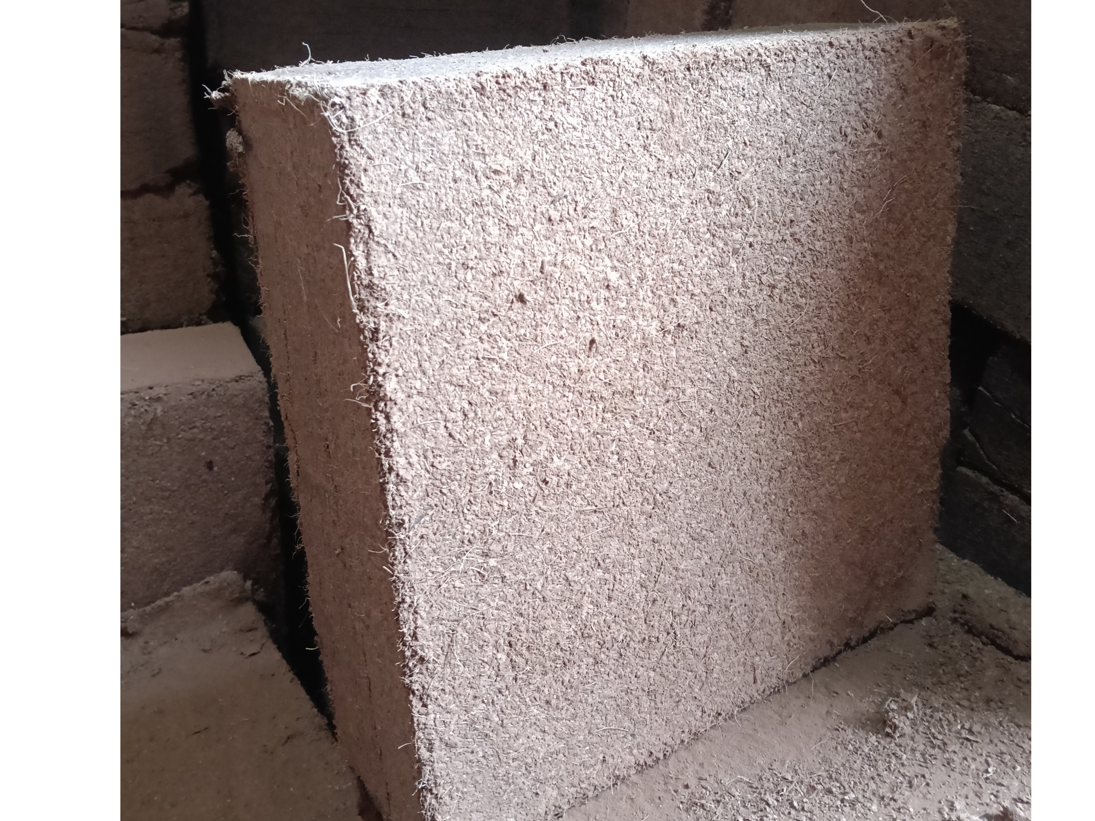 CocoPeat (Coirpith) 2