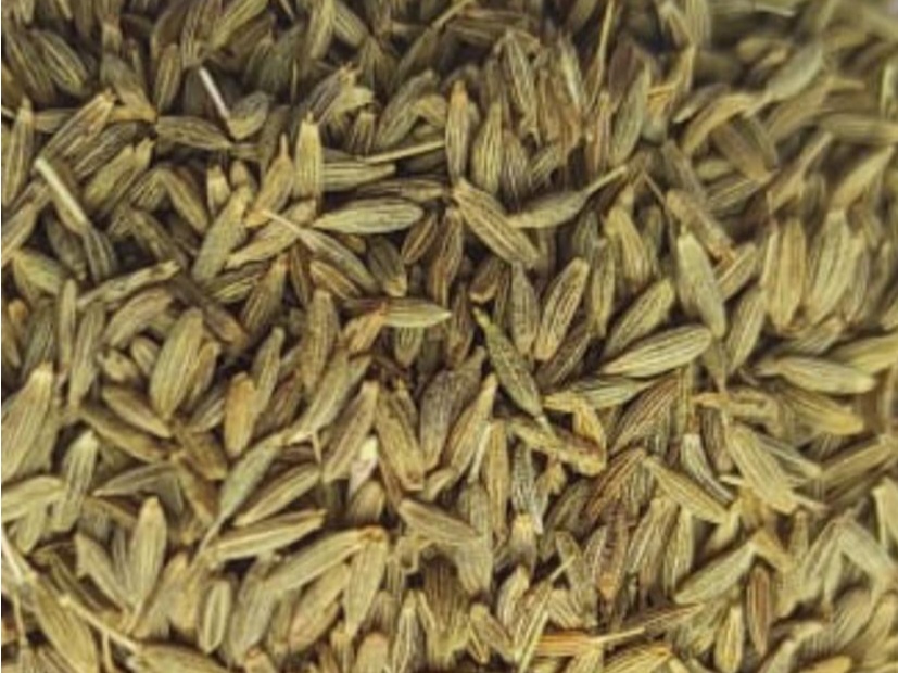 Cumin Seed 3