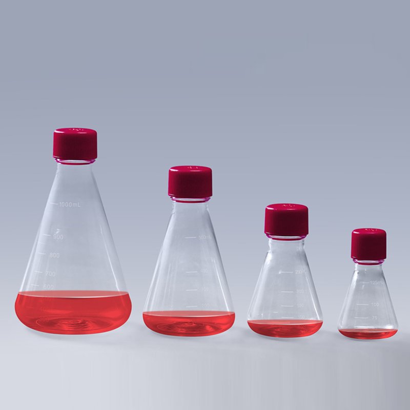 Erlenmeyer Shake Flask 1