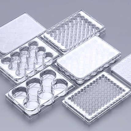 Cell Culture Plate