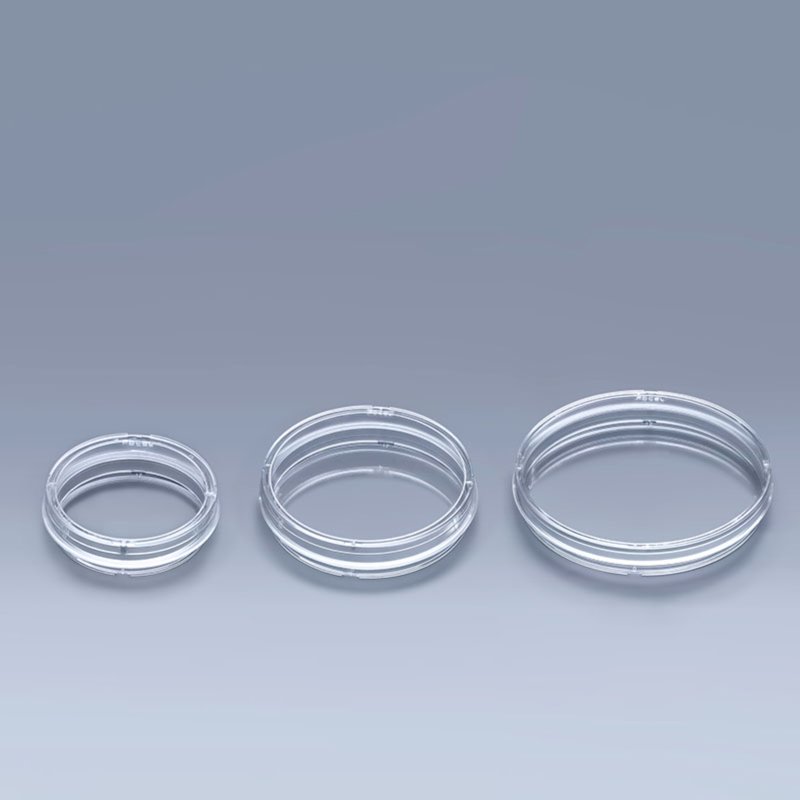 Cell Culture Dish