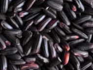 Black Rice  1