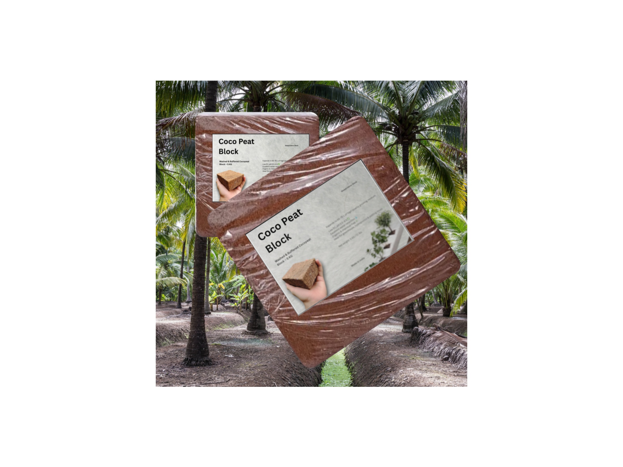 Organic Cocopeat