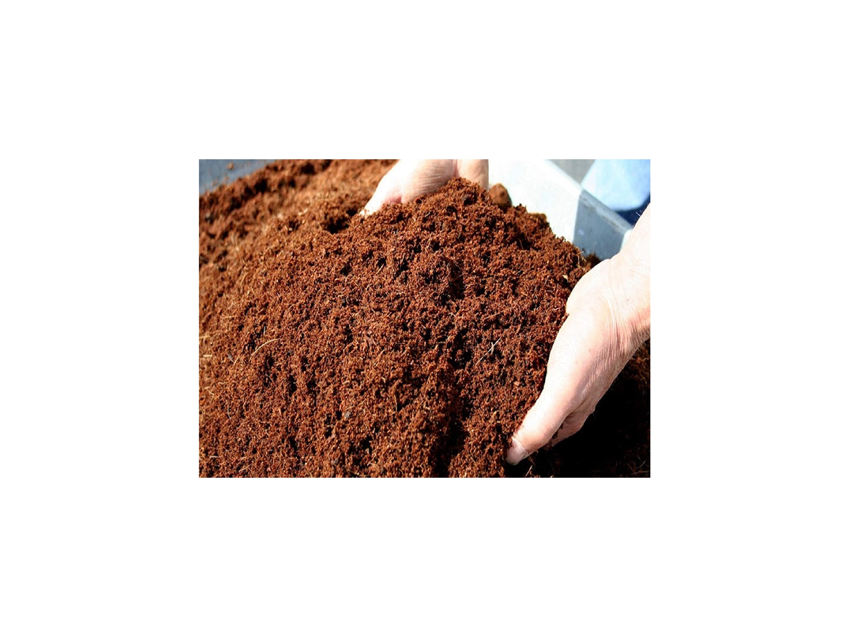 Organic Cocopeat 2