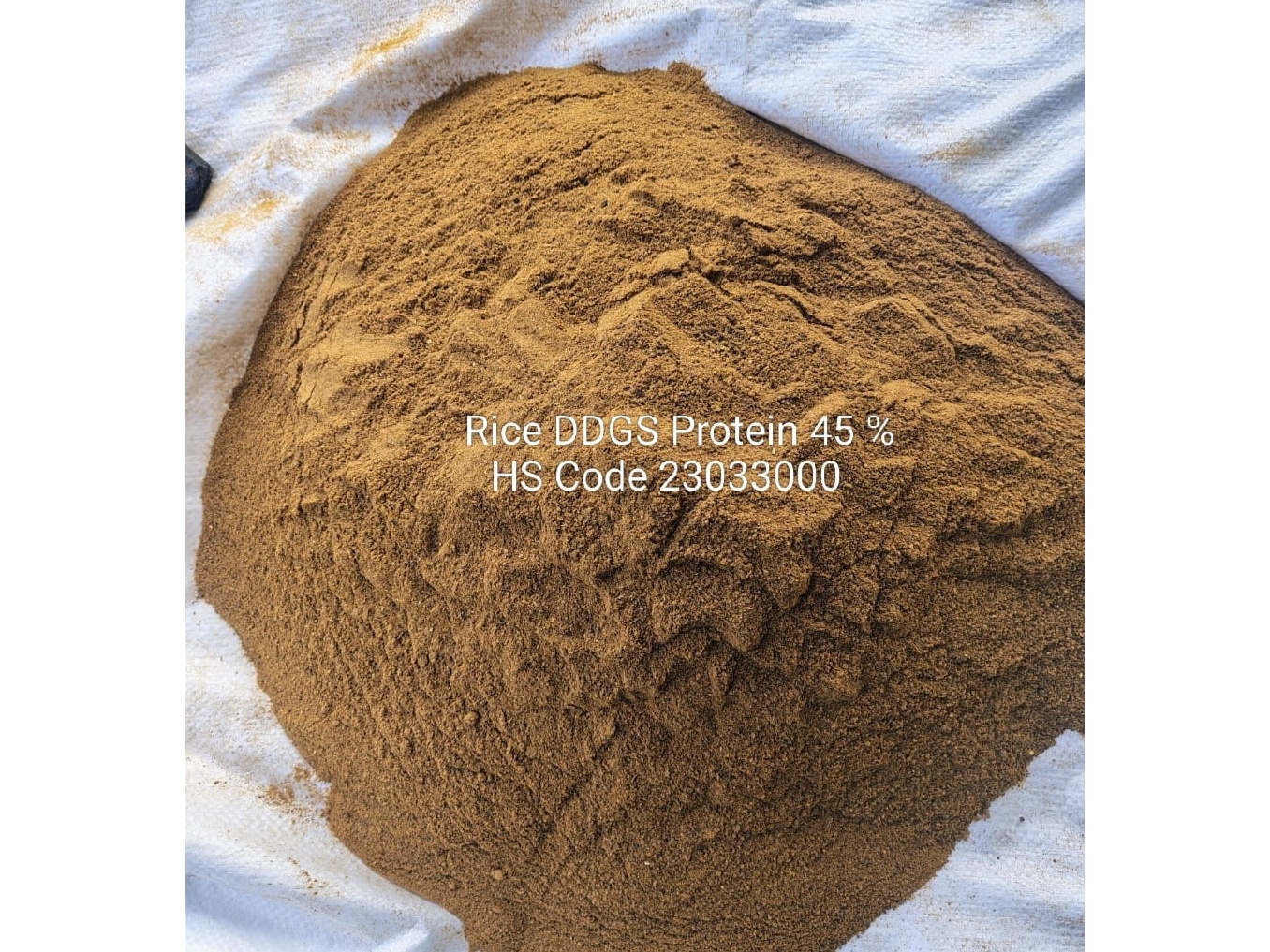 Rice DDGS (Dried Distillers Grains with Solubles) 2
