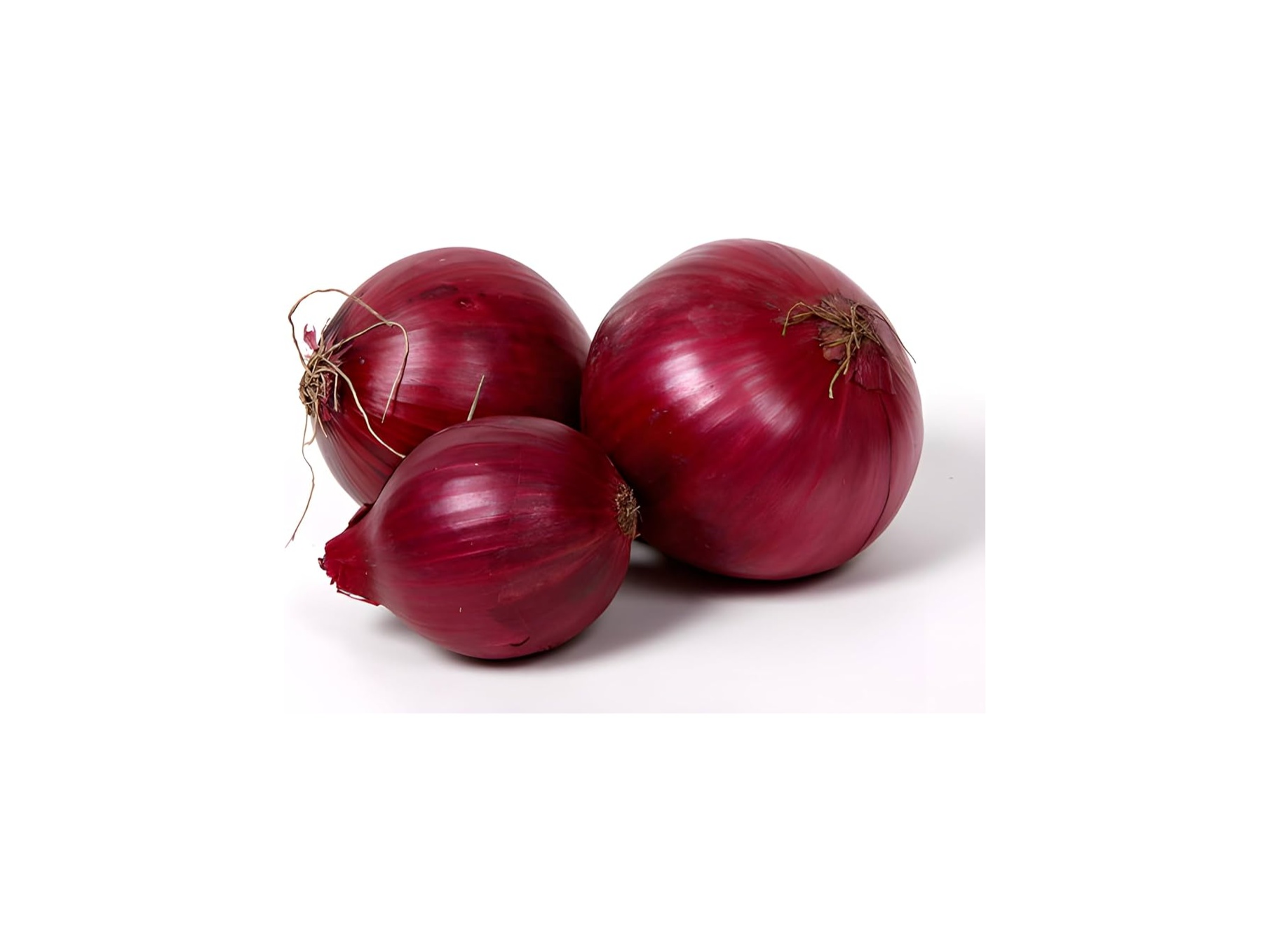 Onion 2