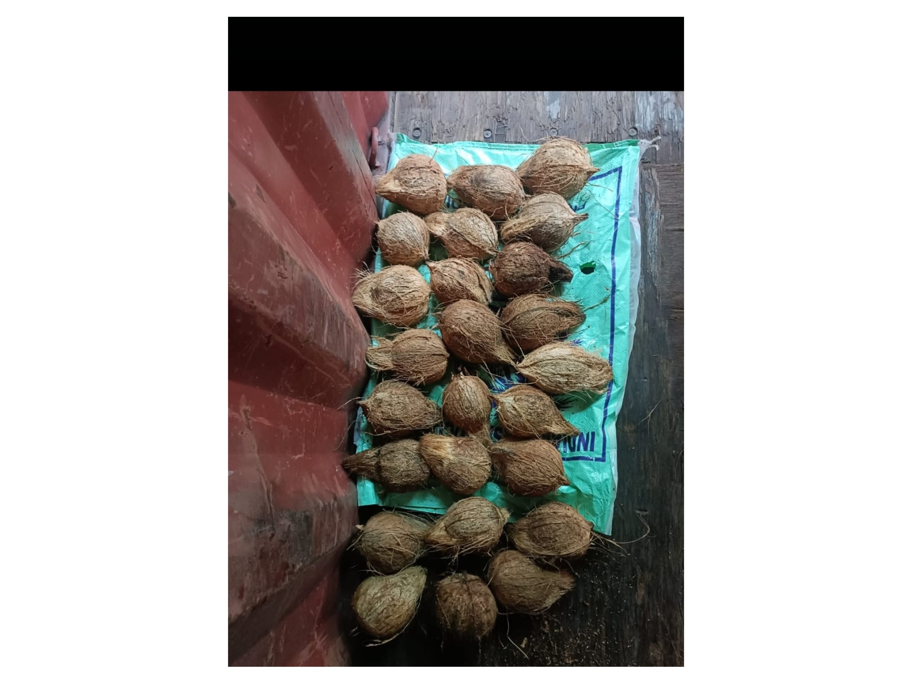 Semi husked coconuts from Pollachi origin 