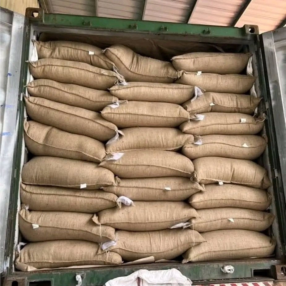 Green coffee beans from bugisu land uganda 5