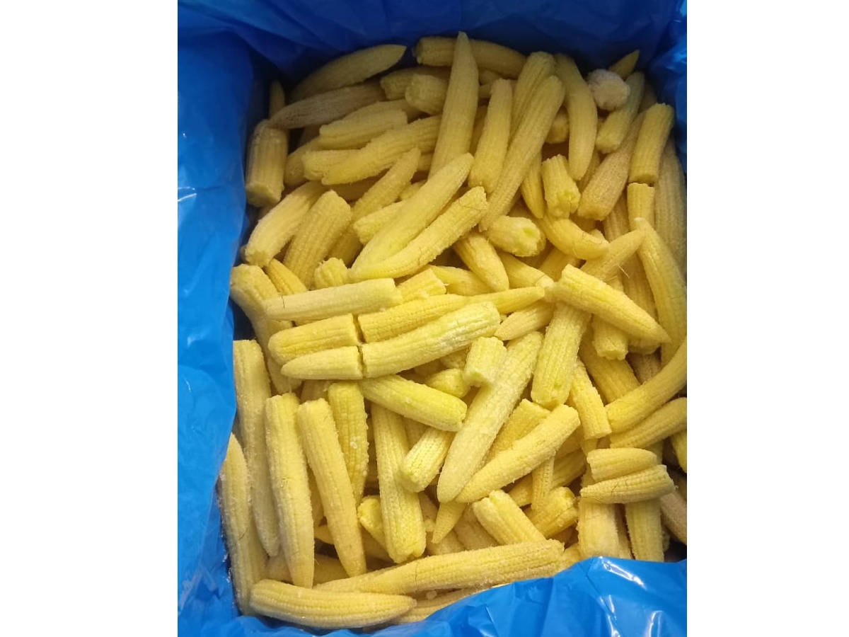 Frozen Baby Corn 1