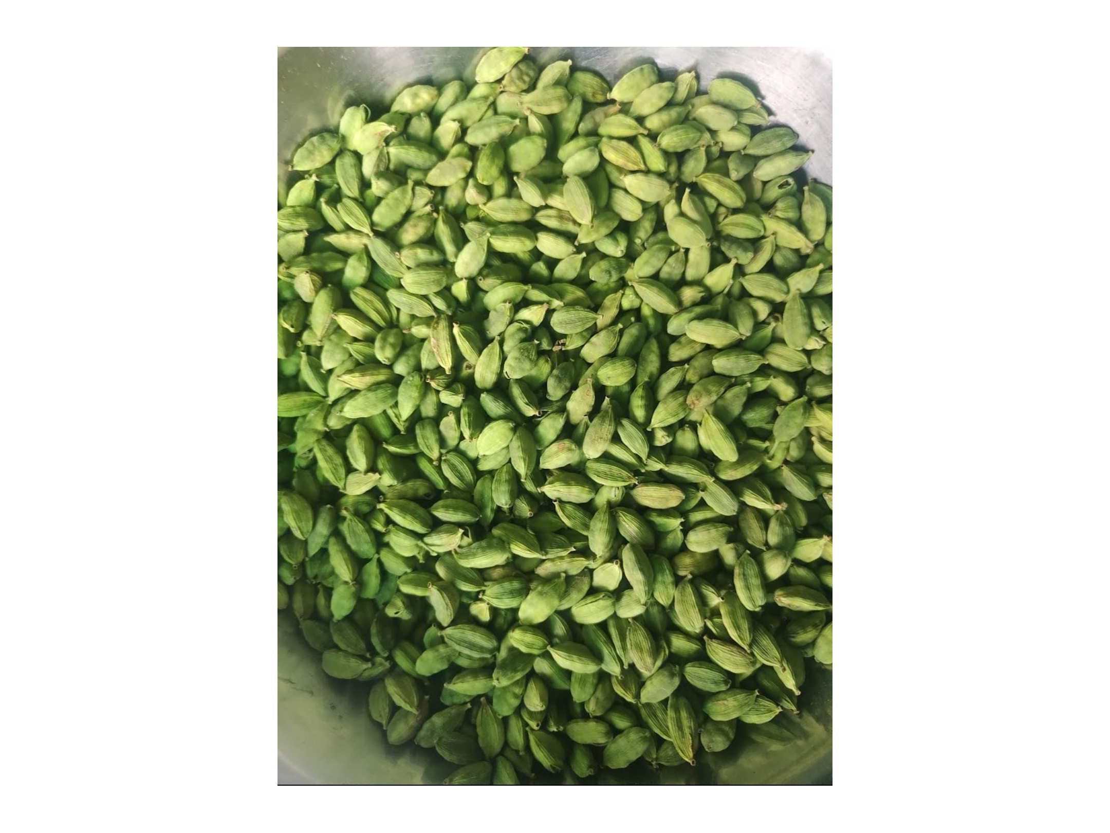 Cardamom 1