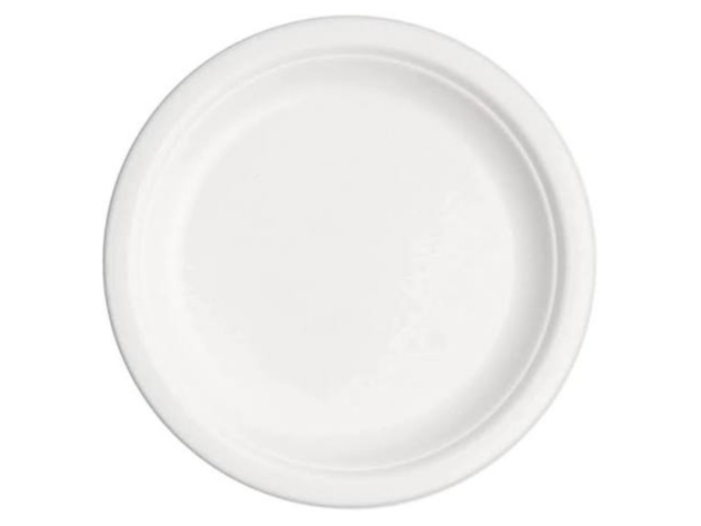 Disposable sugarcane plate  1