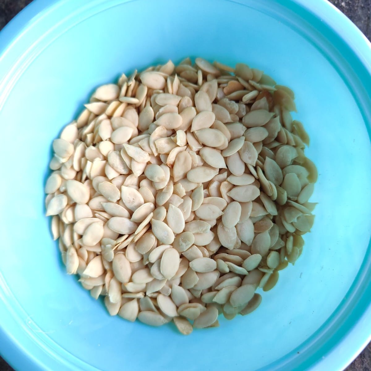 Sudan Sadir Watermelon Seeds (Magaj) 2