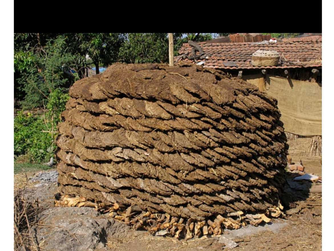 Cow Dung Fertilizer 1