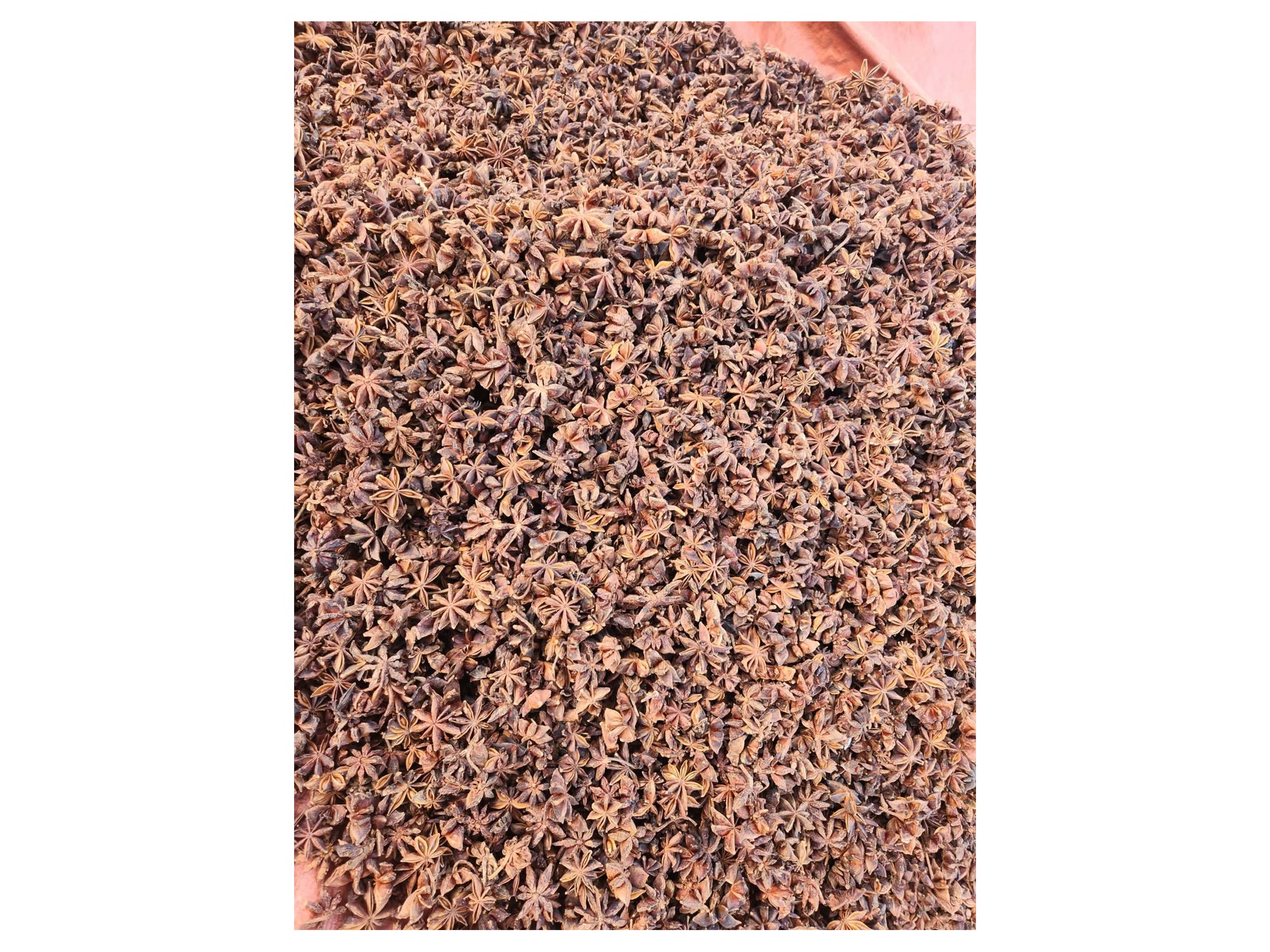 Star anise  2