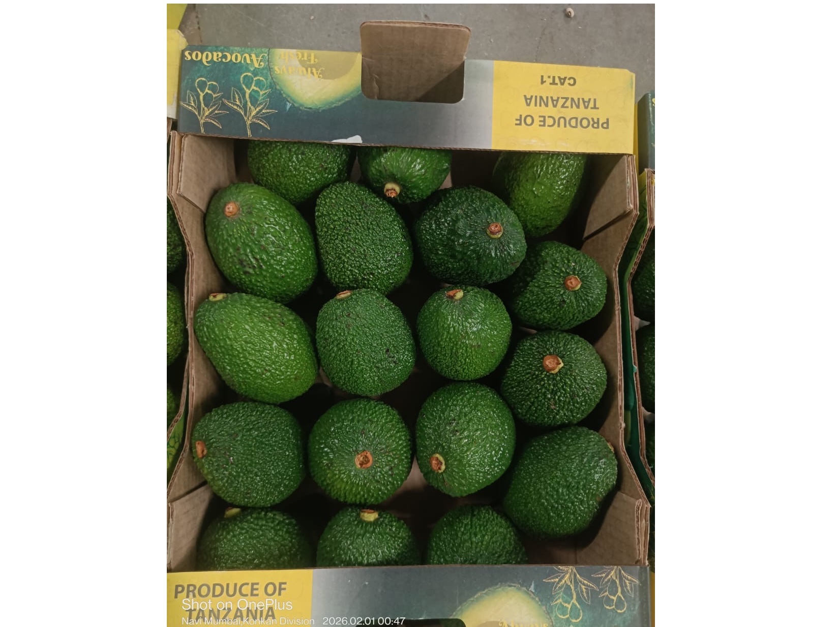 Tanzania Hass Avocado  1