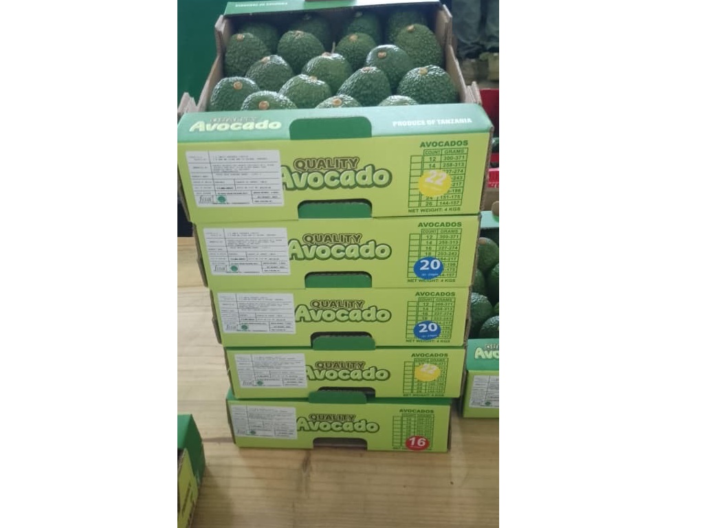 Tanzania Hass Avocado  2