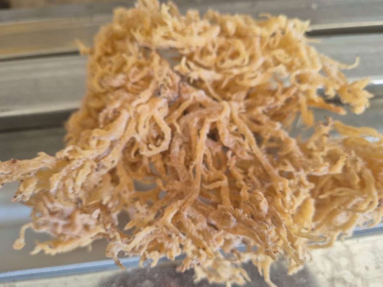 Dried golden seaweed