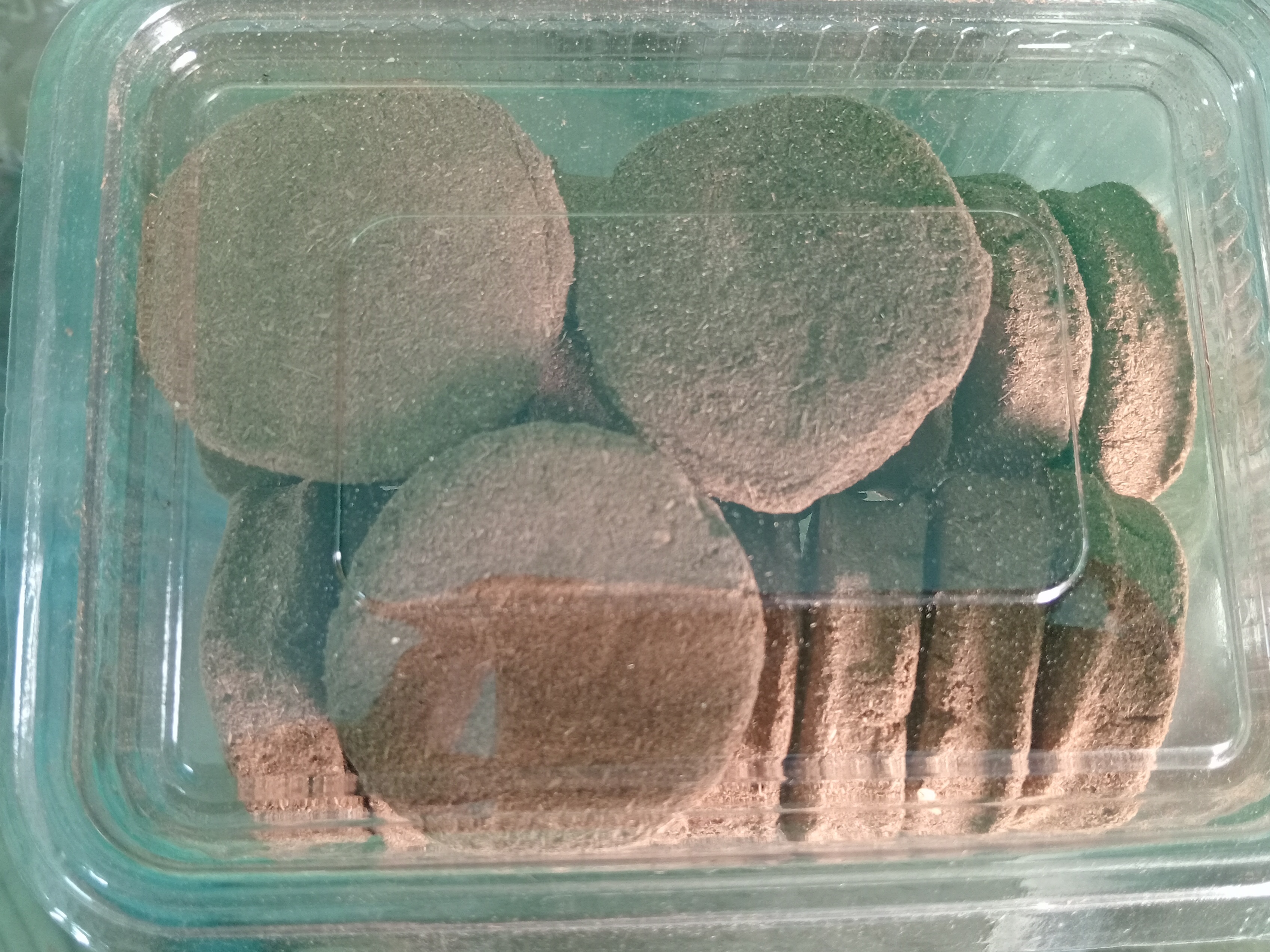 Cow dung fregrence kace