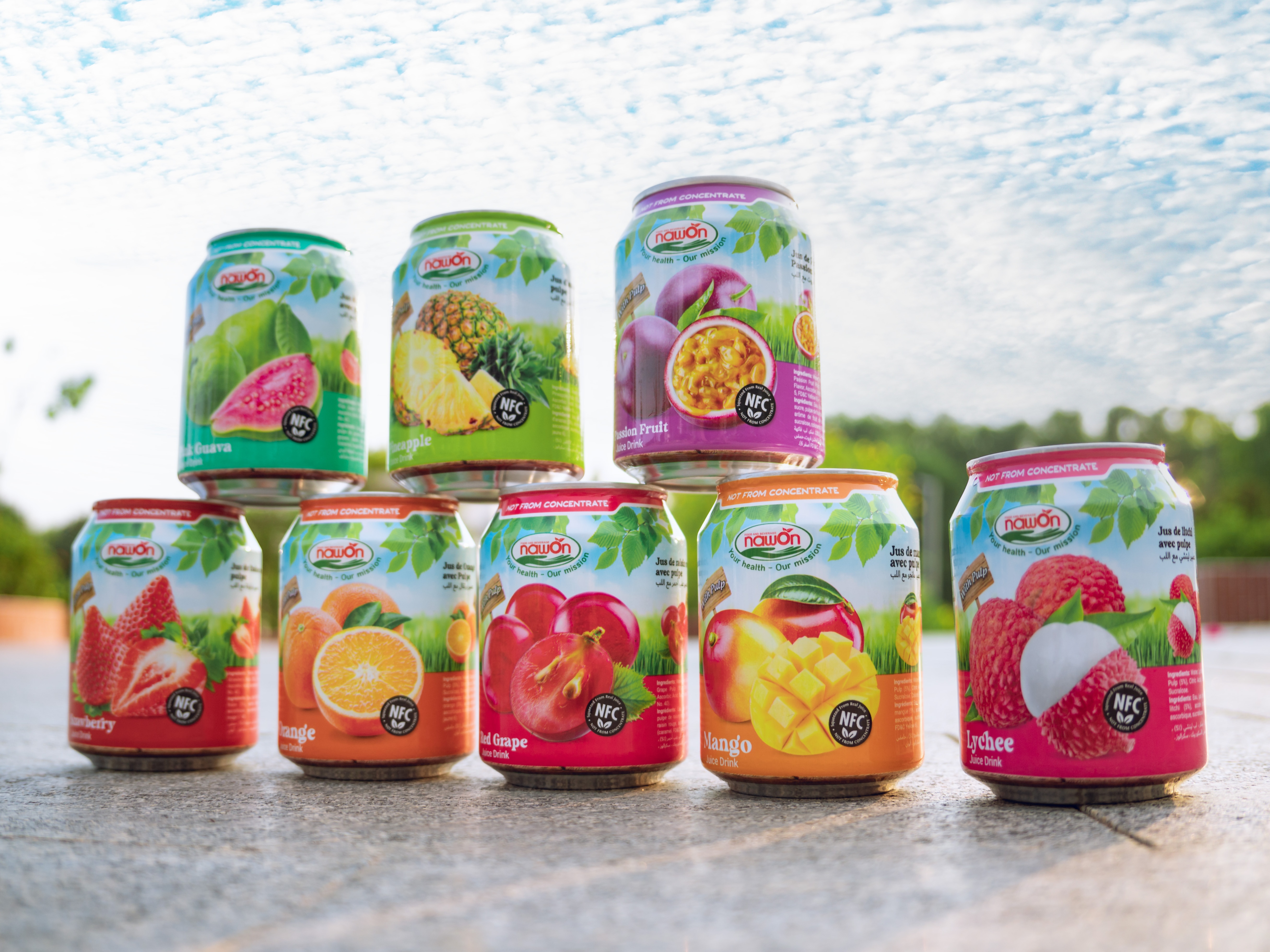 Hot Selling Tropical Fruit Juice with Pulp canned 250ml Soft Drink Wholesale NAWON in Vietnam OEM Free Sample Low MOQ ISO 1