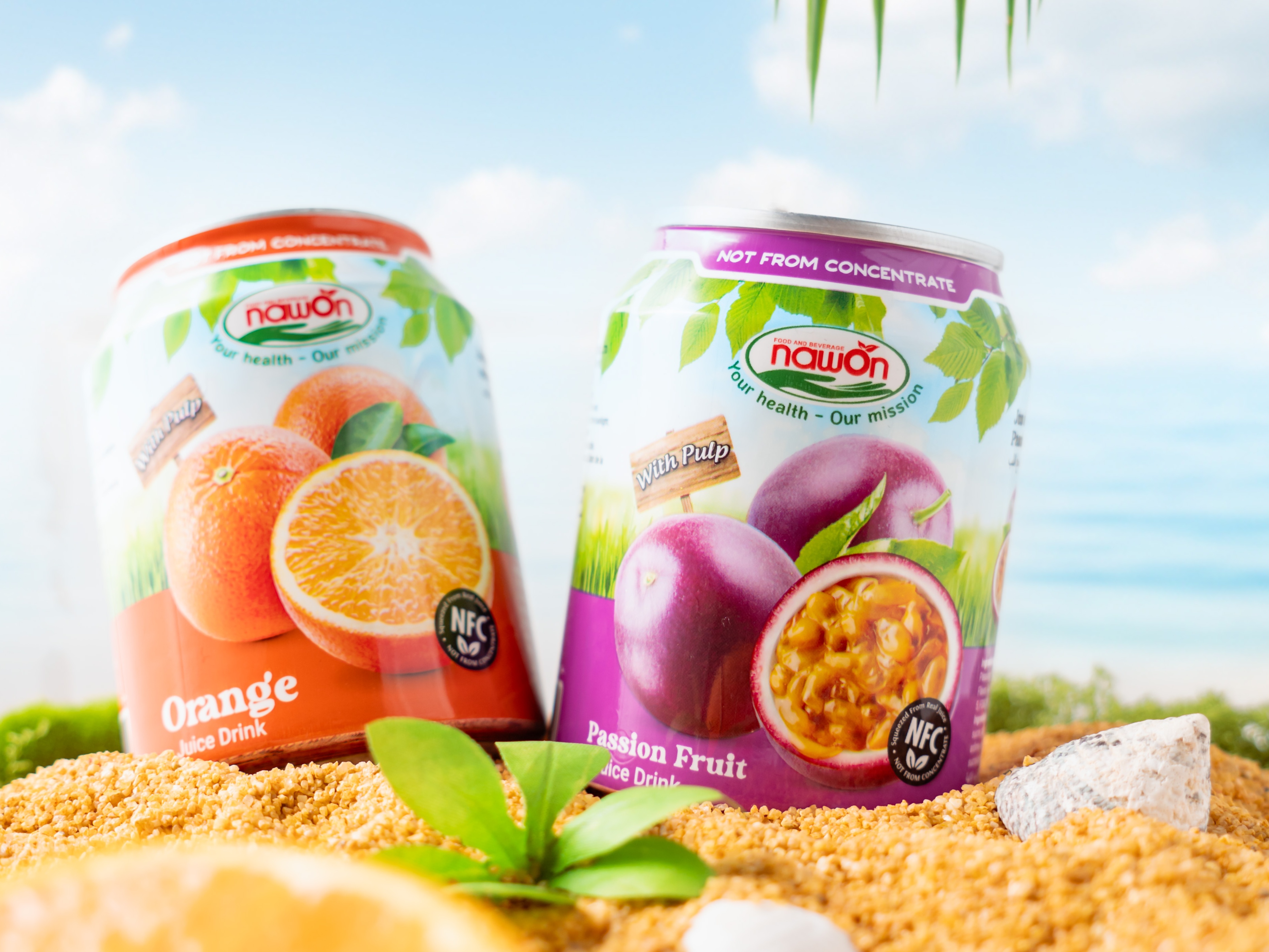 Hot Selling Tropical Fruit Juice with Pulp canned 250ml Soft Drink Wholesale NAWON in Vietnam OEM Free Sample Low MOQ ISO 2