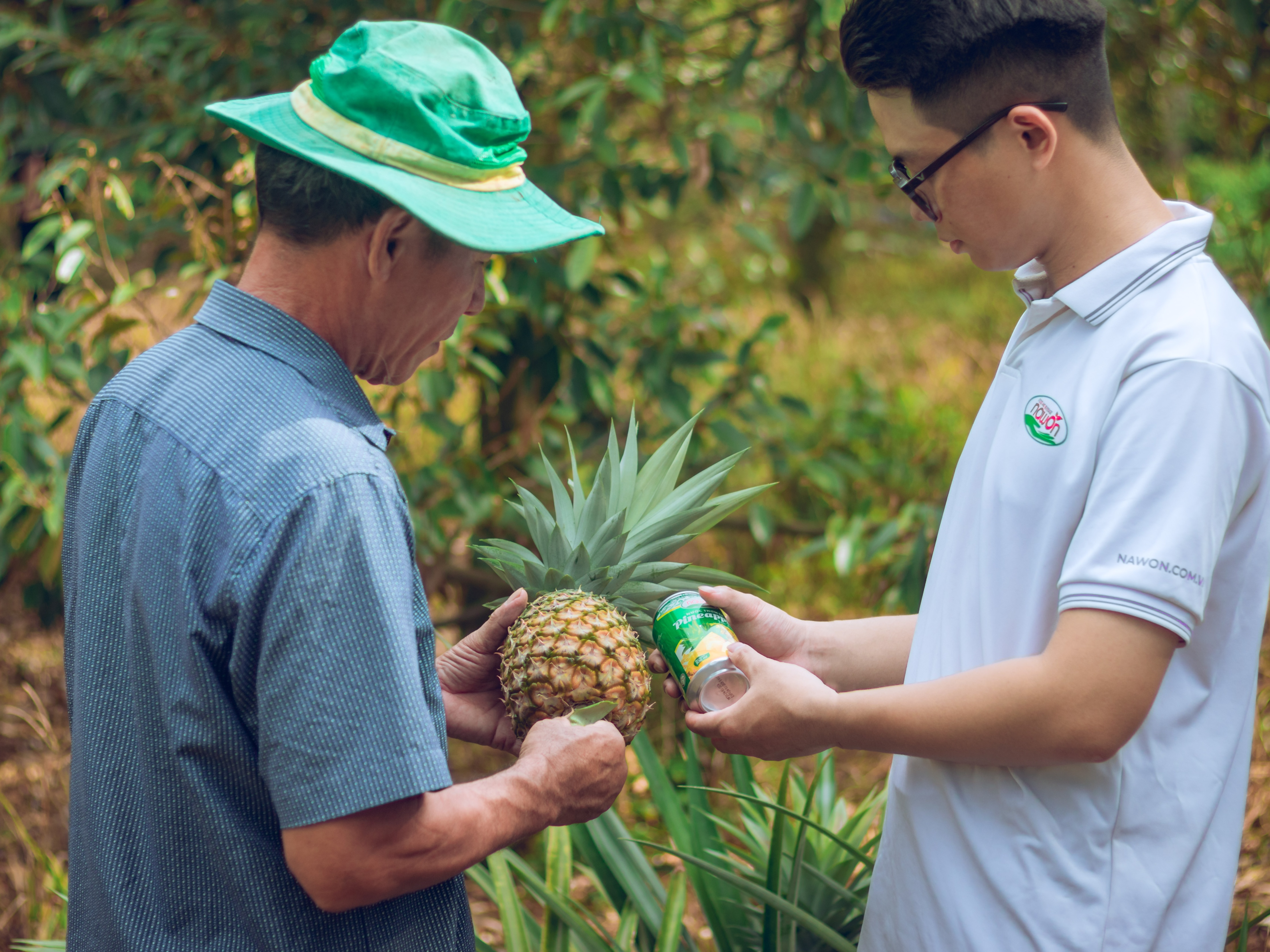 Best Quality Tropical Fruit Juice canned 330ml Soft Drink Wholesale NAWON in Vietnam OEM Free Sample Low MOQ ISO 11