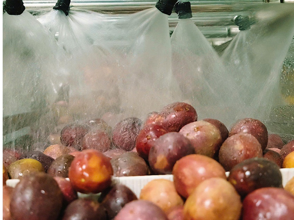 Best Quality Tropical Fruit Juice canned 330ml Soft Drink Wholesale NAWON in Vietnam OEM Free Sample Low MOQ ISO 4