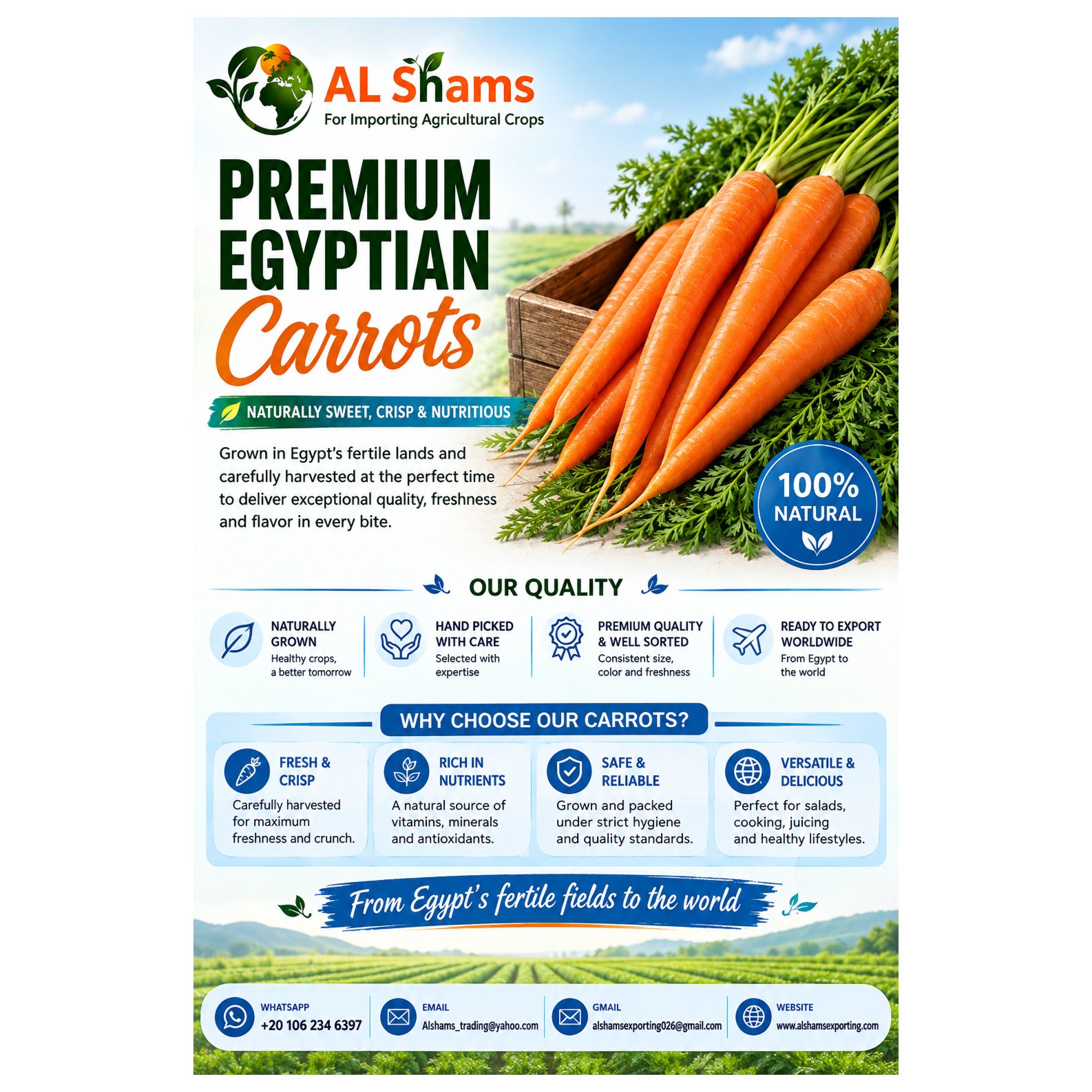 Egyptian Carrot 1