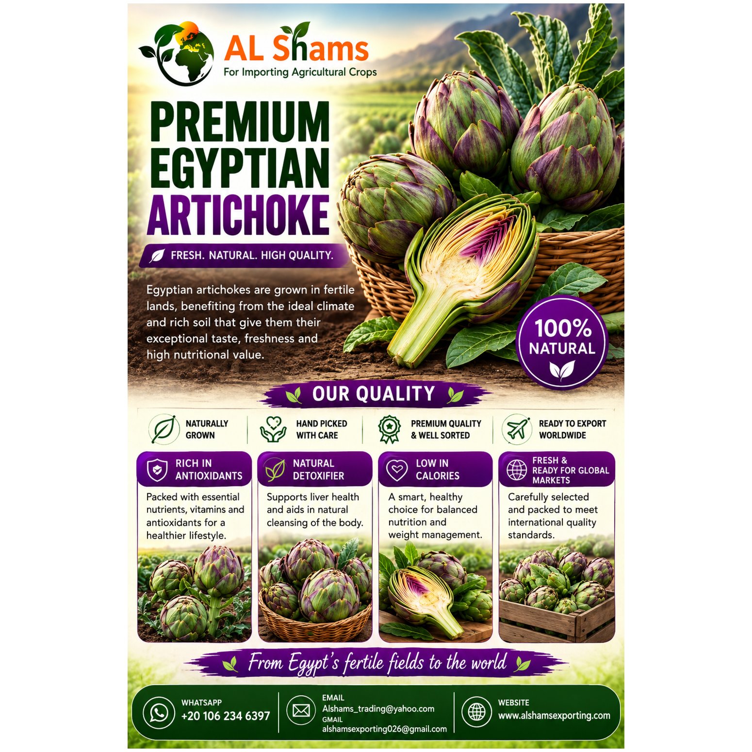 Artichoke