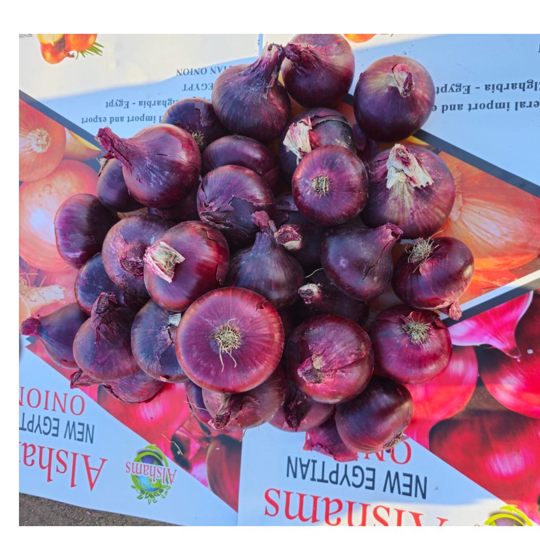 Egyptian Red Onions 2