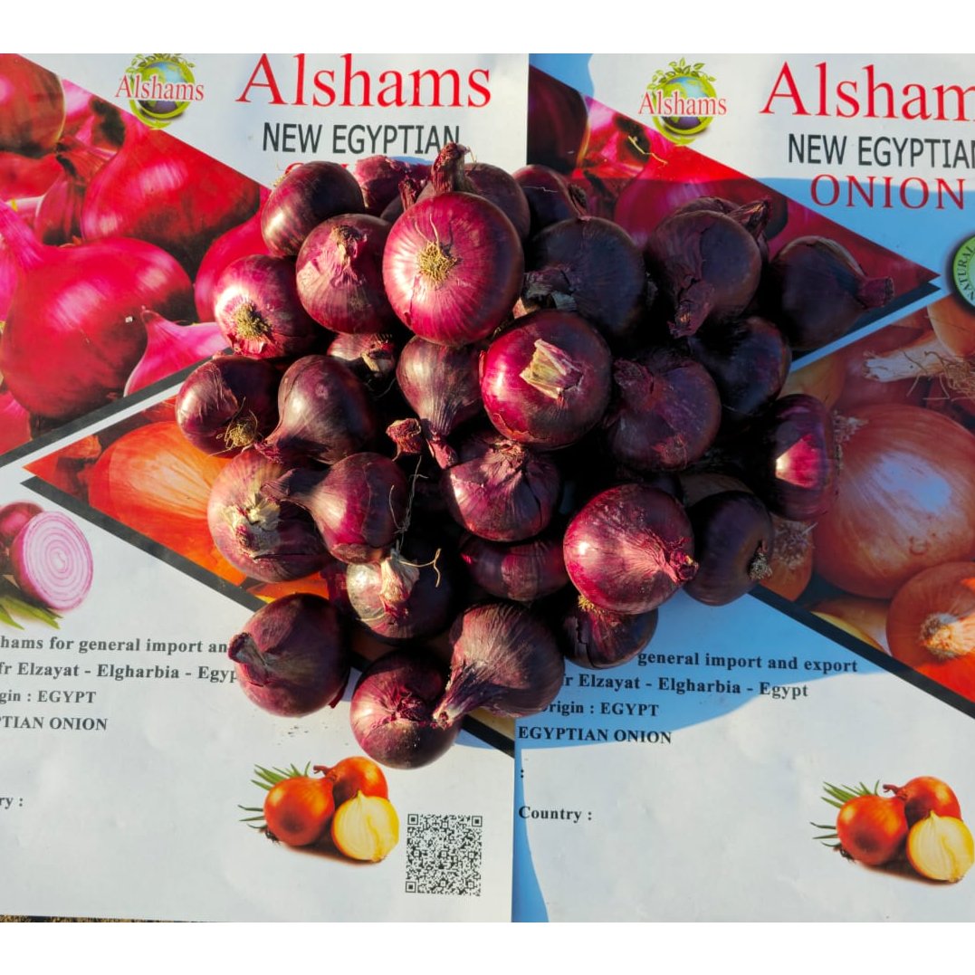 Egyptian Red Onions 3