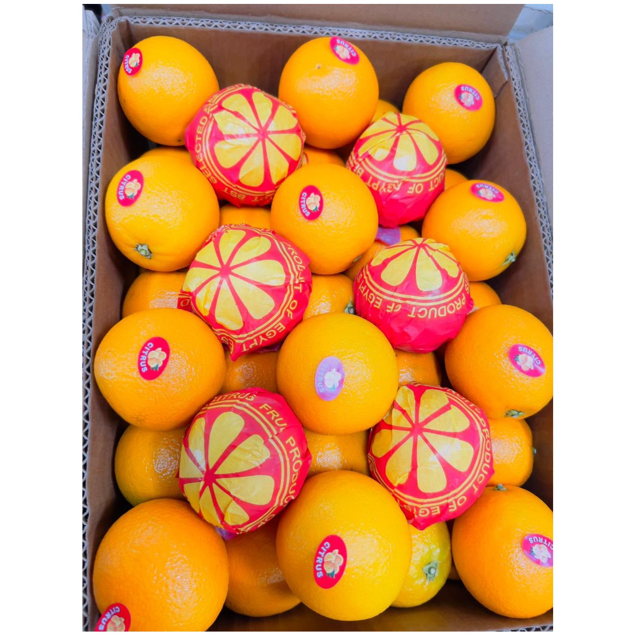 Eyptian Navel Orange