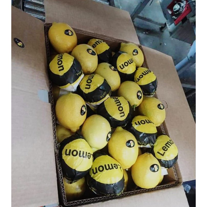 Egyptian lemon 2