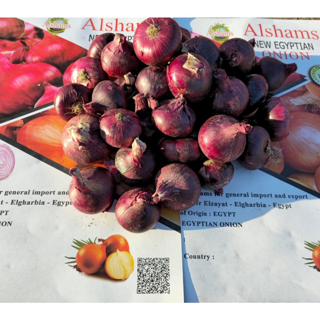 Egyptian Red Onions 2