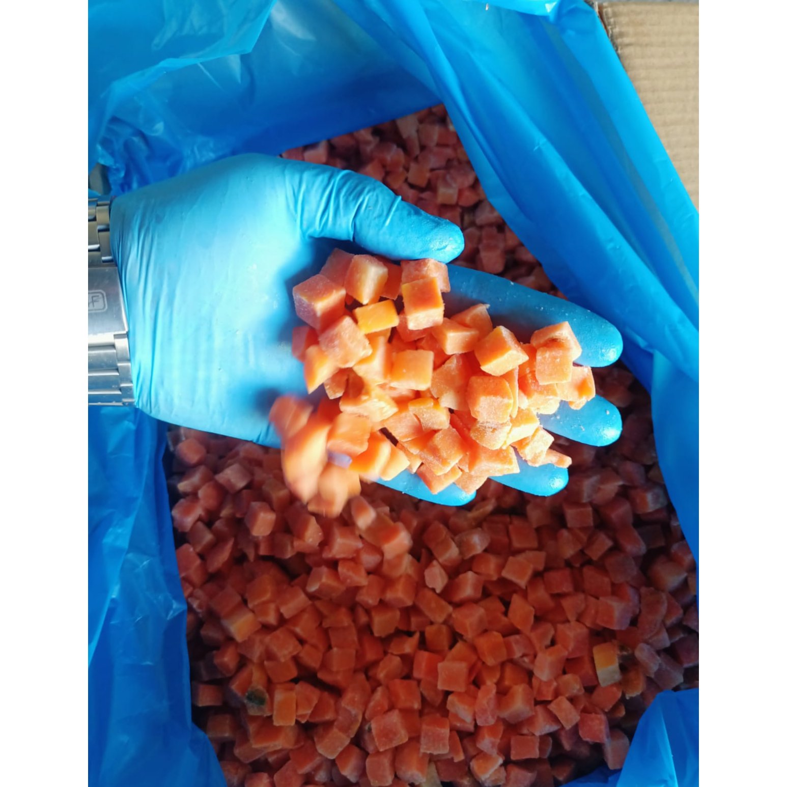 Egyptian Frozen Carrots 2
