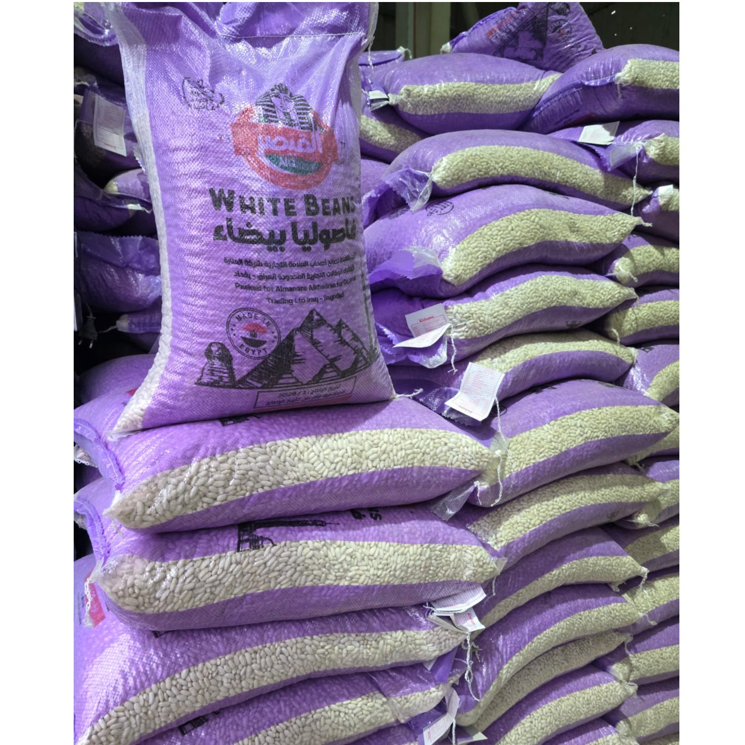 Egyptian White Beans 2