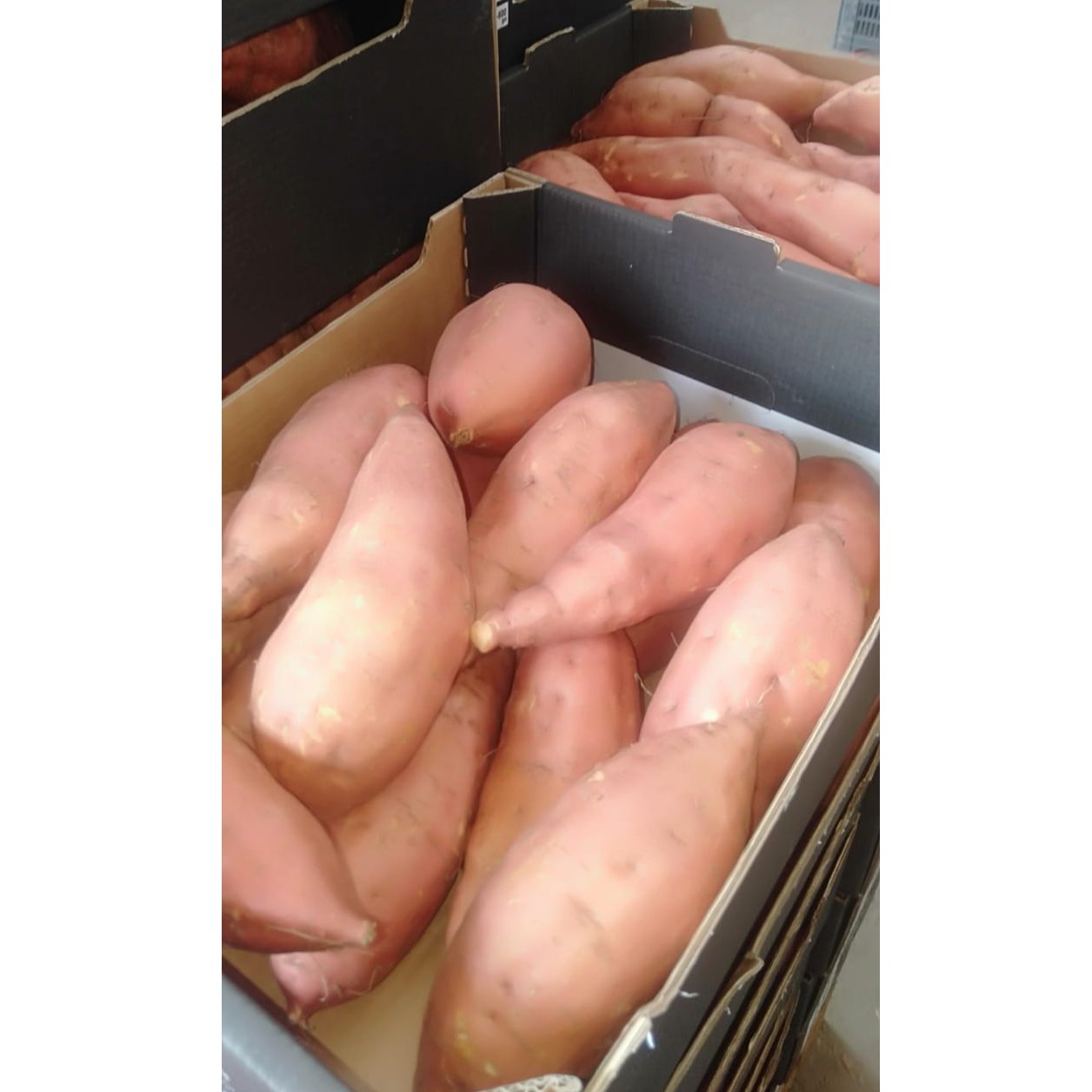 Egyptian Sweet Potatoes 3