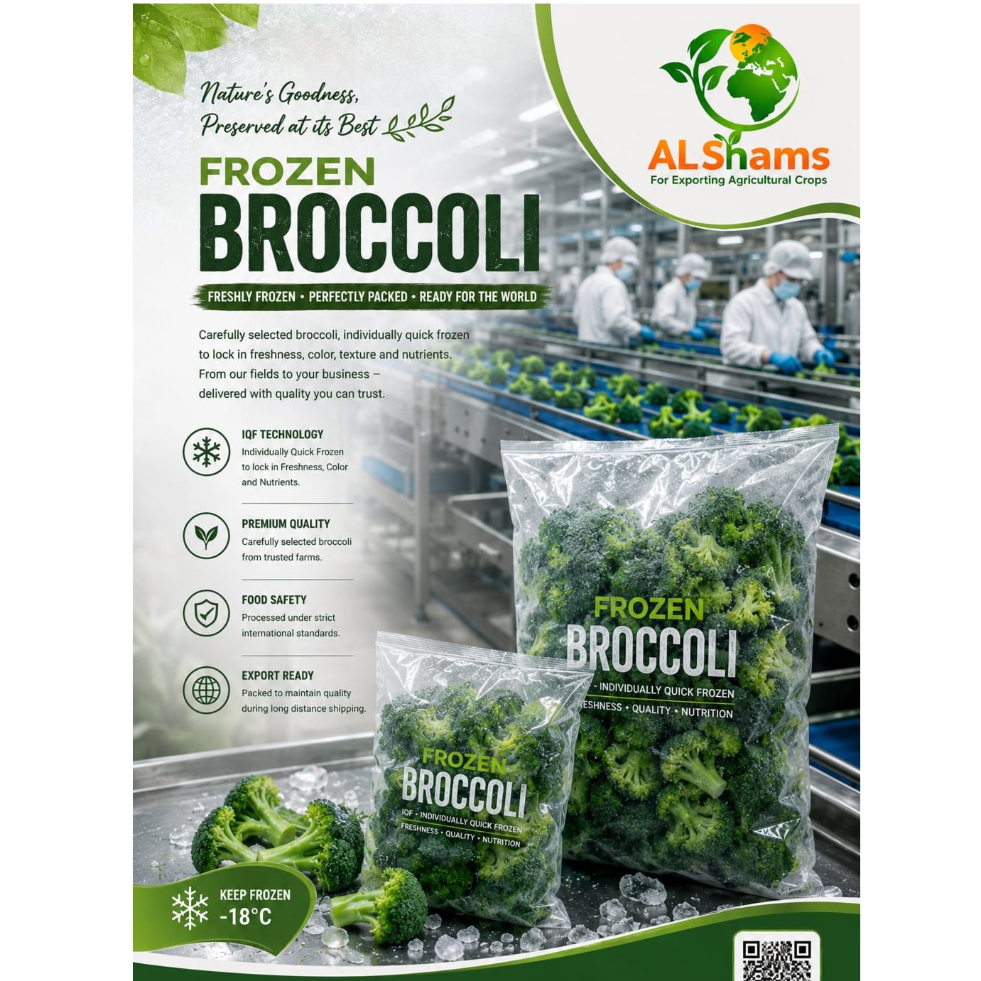 Egyptian Frozen Broccoli