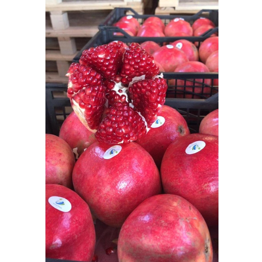 Egyptian Pomegranate 2