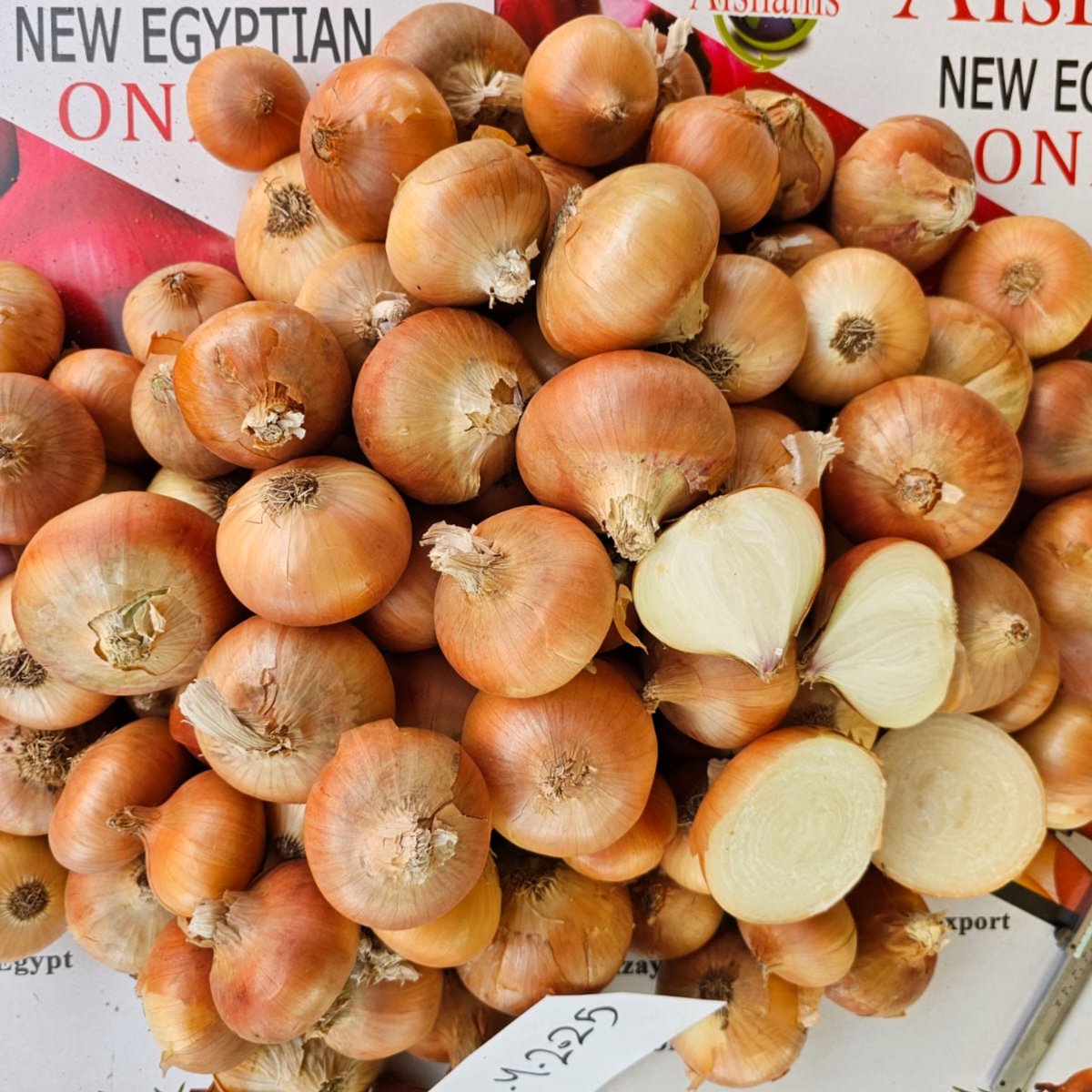 Egyptian Golden Onion