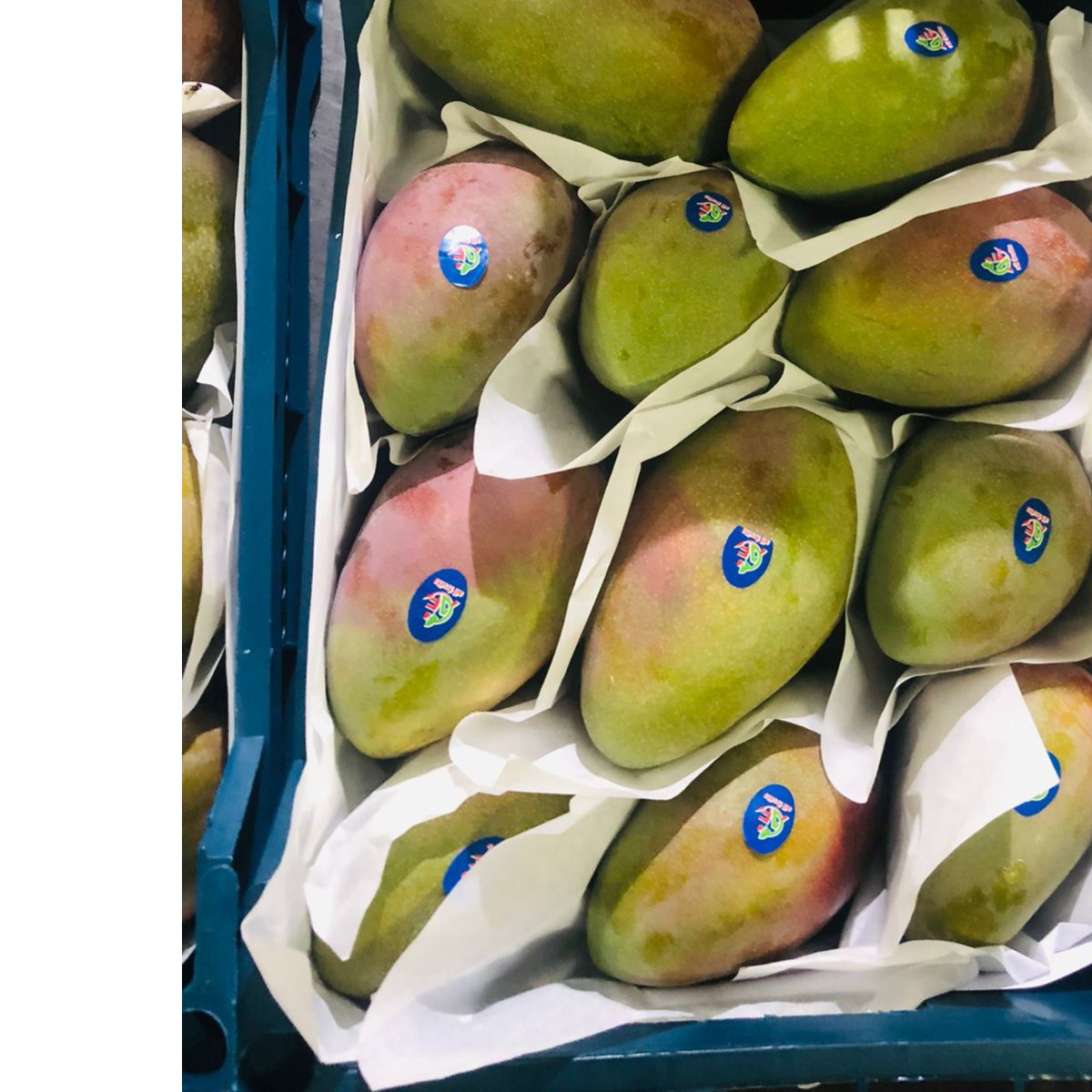 Egyptian Mangoes 