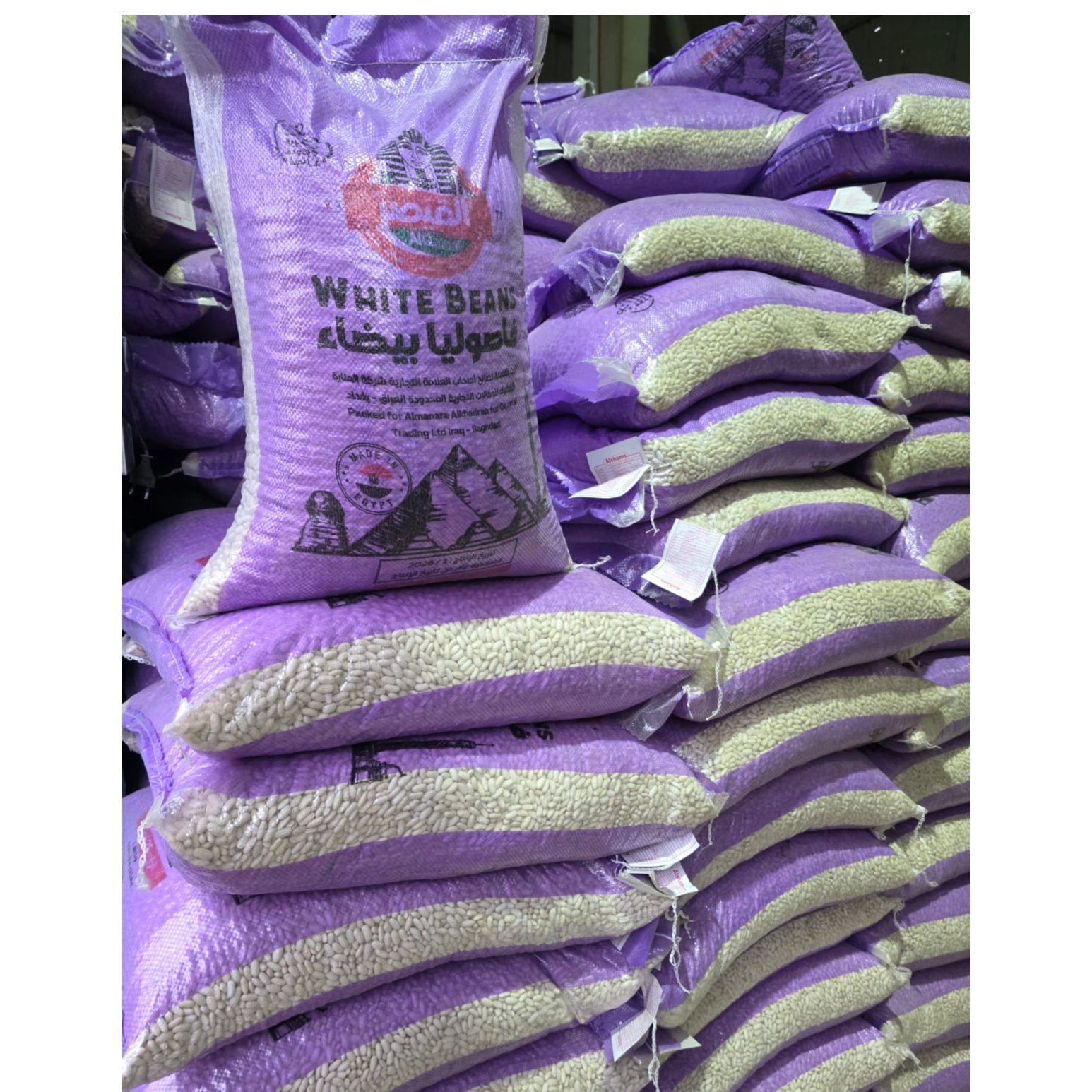 Egyptian White Beans 2