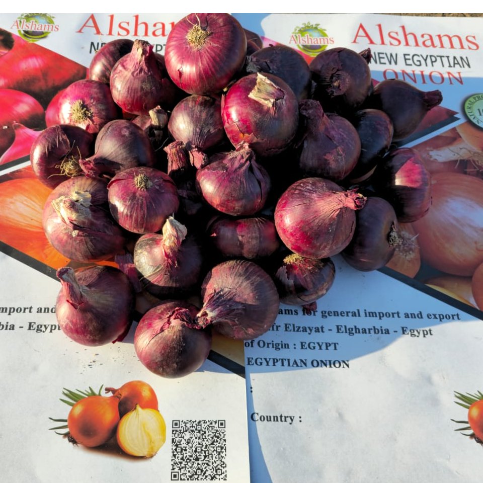 Egyptian Red Onions