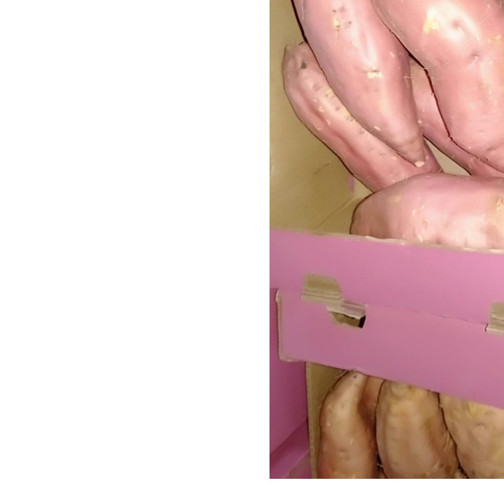 Egyptian Sweet Potatoes 2