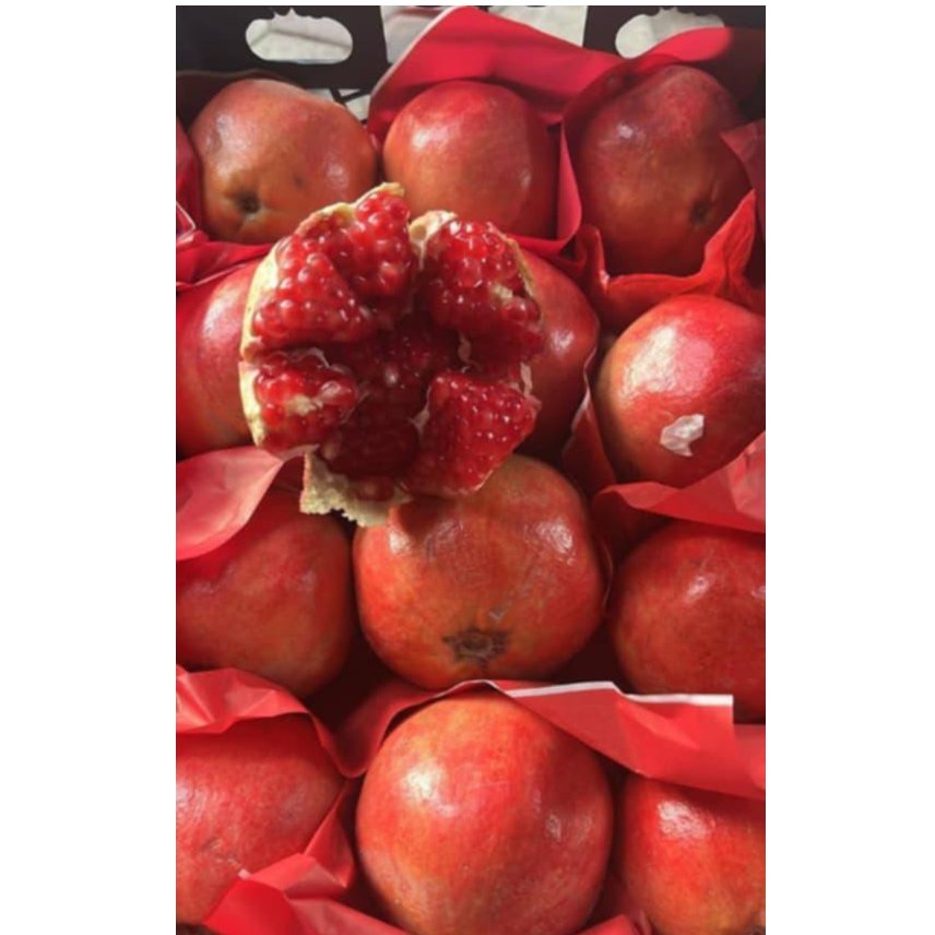 Egyptian Pomegranates