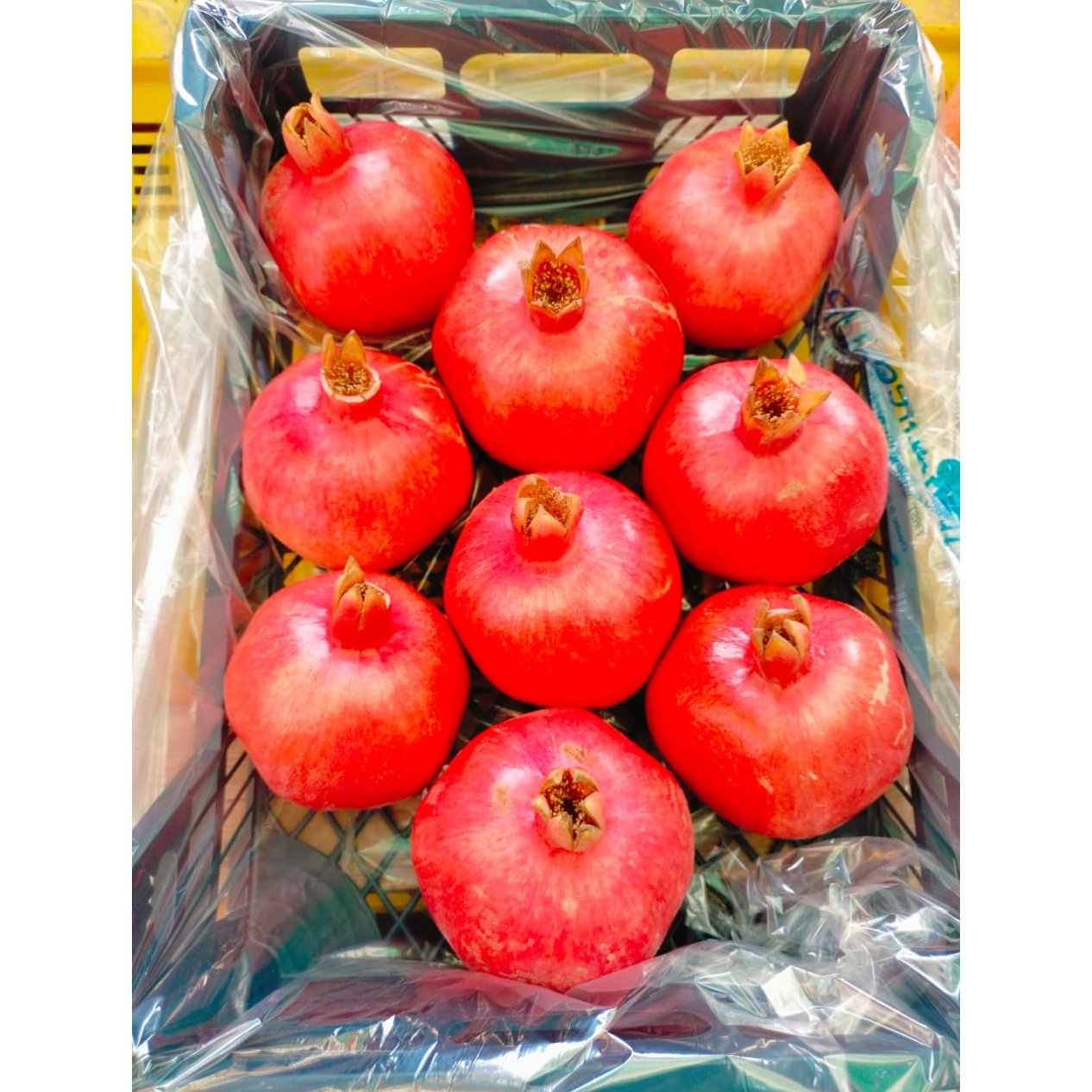 Egyptian Pomegranates 2
