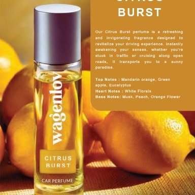 HVNLY body perfume and fragrances  5