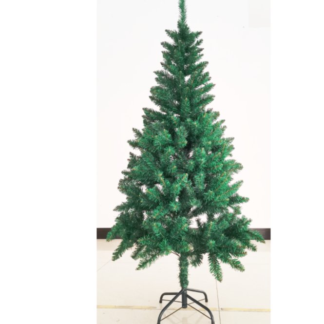 Pointed-leaved Christmas tree 1