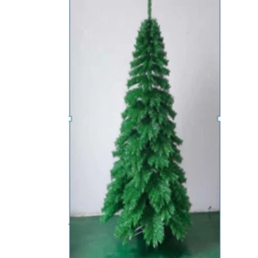 A common tree growing by the water's edge