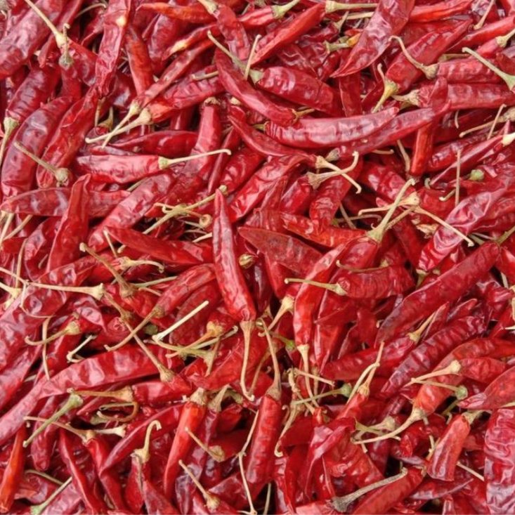 Red chilli  1