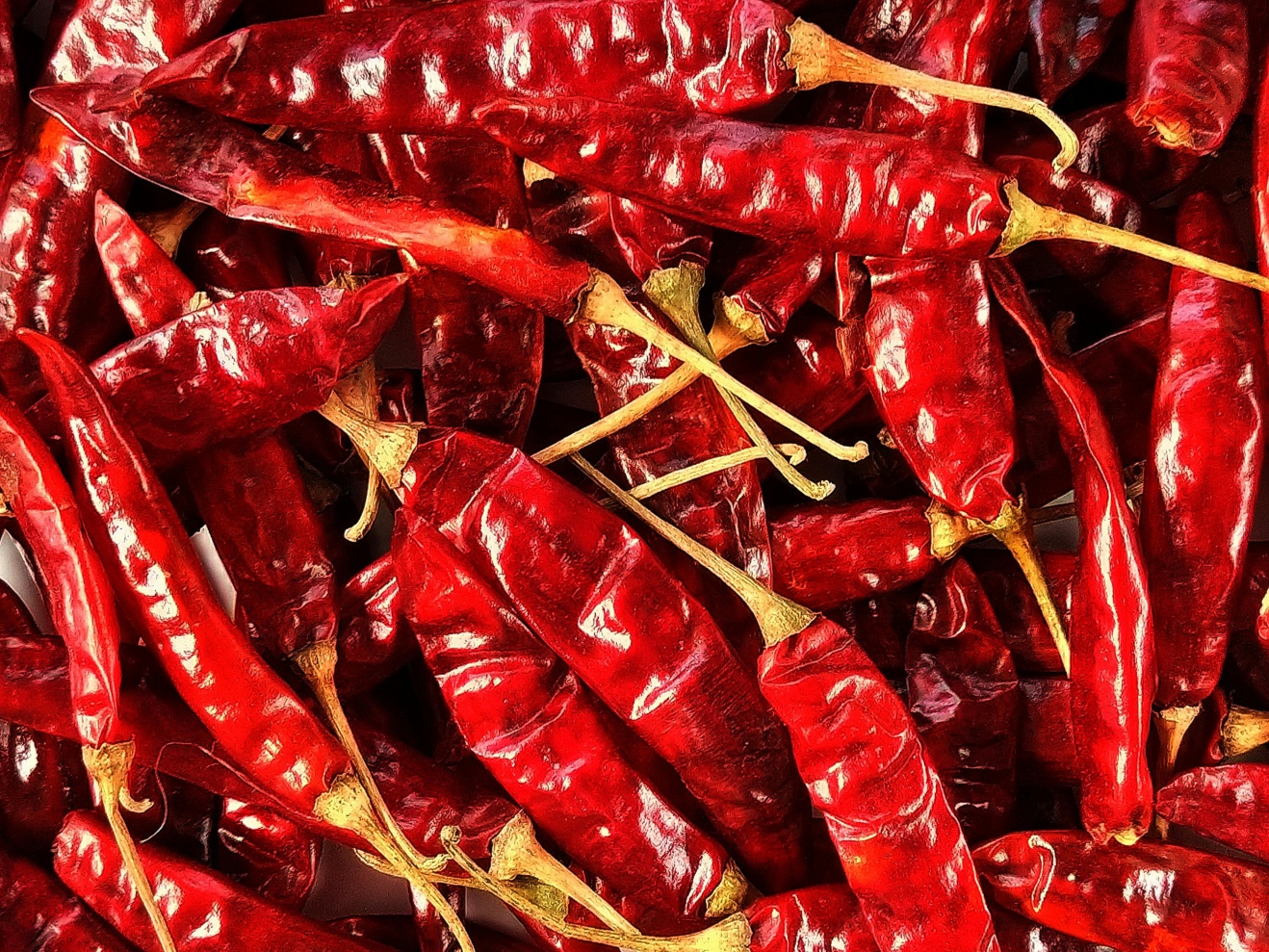 Dry red chillies 1
